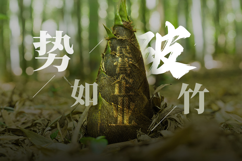 民营企业势如破竹，我店科技看准机遇，不断创新发展